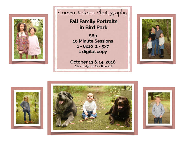 Fall Family Photo Fundraiser
